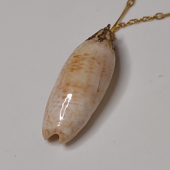 Cute 18 Inch Shell Pendant Necklace - Picture 5 of 16